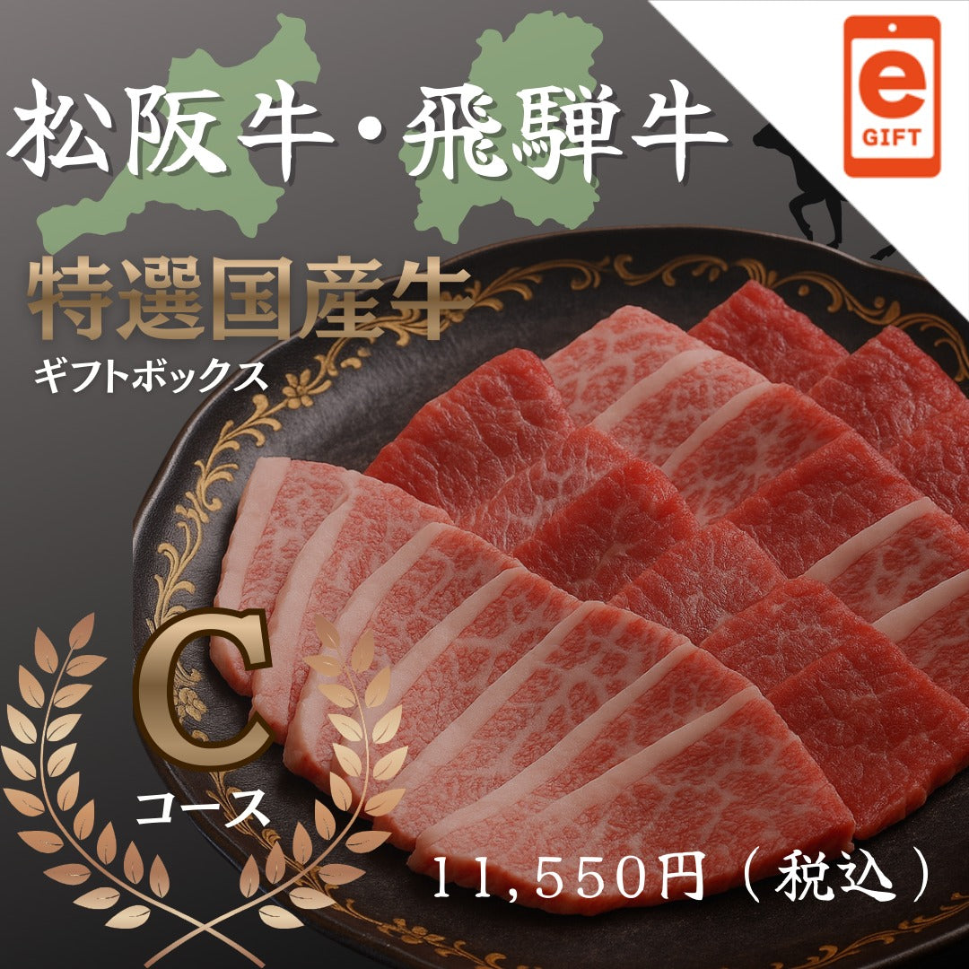 松阪牛・飛騨牛特選ギフトボックス　Cコース【e-gift】
