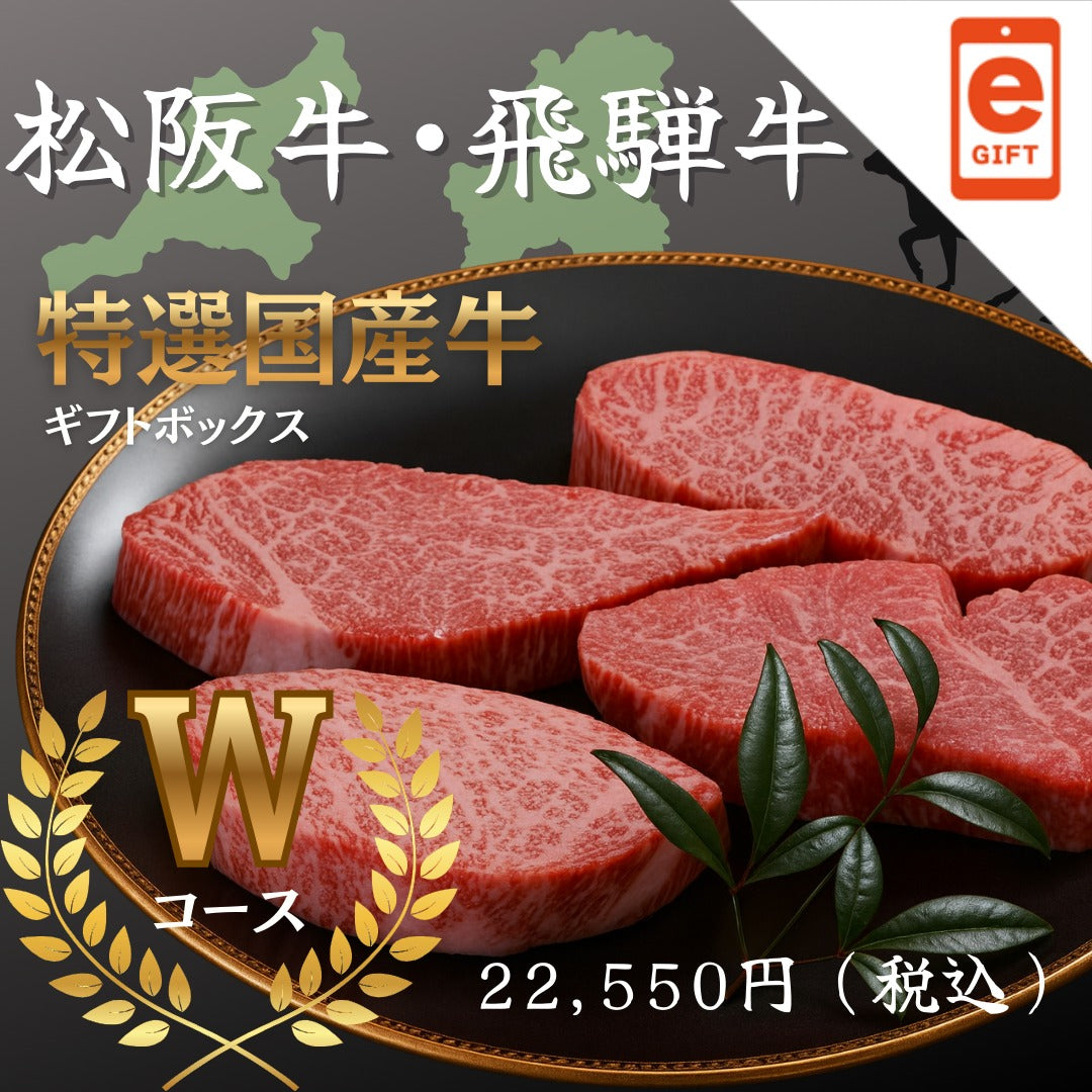 松阪牛・飛騨牛特選ギフトボックス　Ｗコース【e-gift】